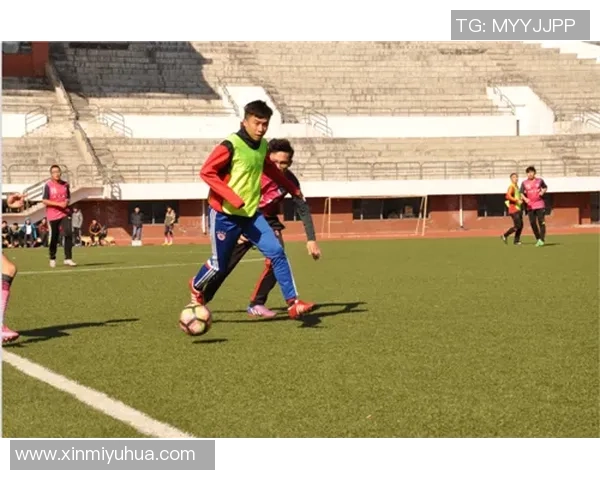 橄榄核足球的魅力与发展探讨：从传统到现代的演变之路