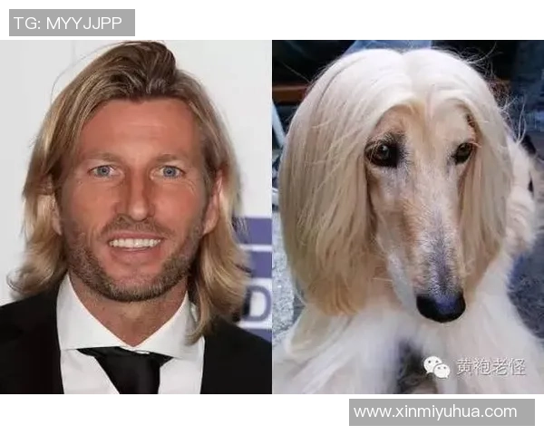 足球明星撞脸特效揭秘如何让你与偶像瞬间合影的神奇技术