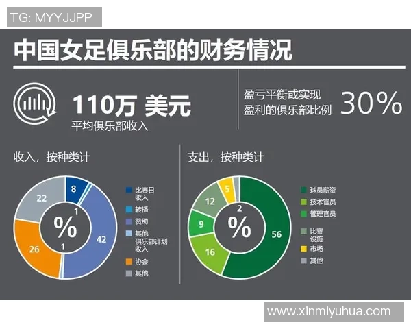 足球明星的平均收入揭秘及其背后的影响因素分析